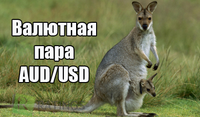 Валютная пара audusd: как анализировать на Форекс