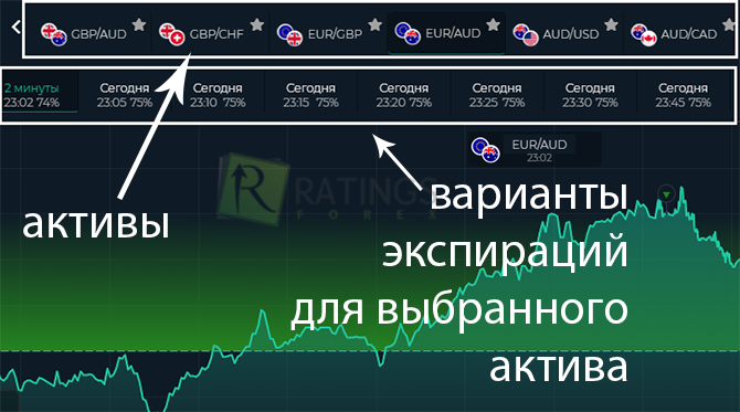 Активы и экспирации в организации Finmax