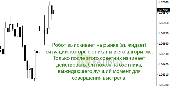 Особенности работы алгоритмов на Forex