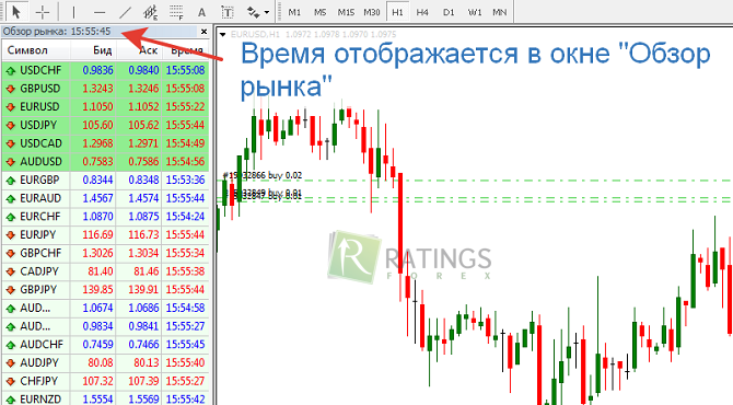 Отображение рабочего времени в Форекс-терминале