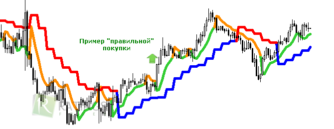 Правильная покупка на примере