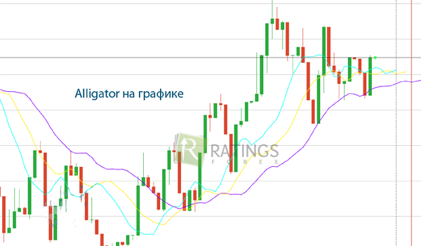 Работа с Alligator на площадке Forex