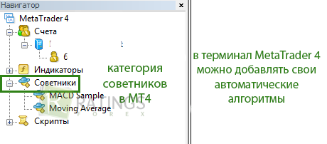 Раздел с советниками в терминале