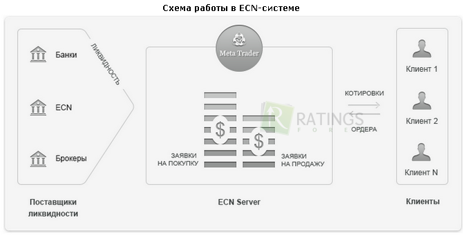 Схема работы ECN системы в деталях