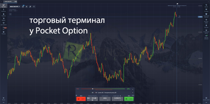 Терминал компании Pocket Option с демо и реал